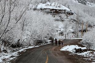 تصاویر ایران 4